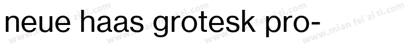 neue haas grotesk pro字体转换